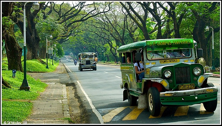 Image result for jeepney philippines up diliman